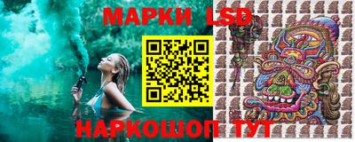 кокс Кингисепп