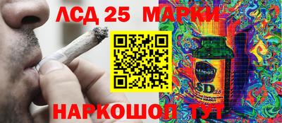 кокс Кингисепп