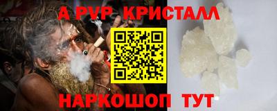 кокс Кингисепп
