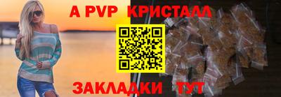 кокс Кингисепп