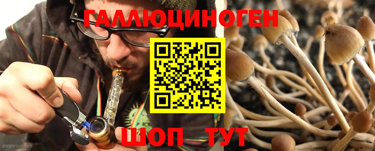 Галлюциногенные грибы мухоморы  где продают   Кстово  Вход с VPN 